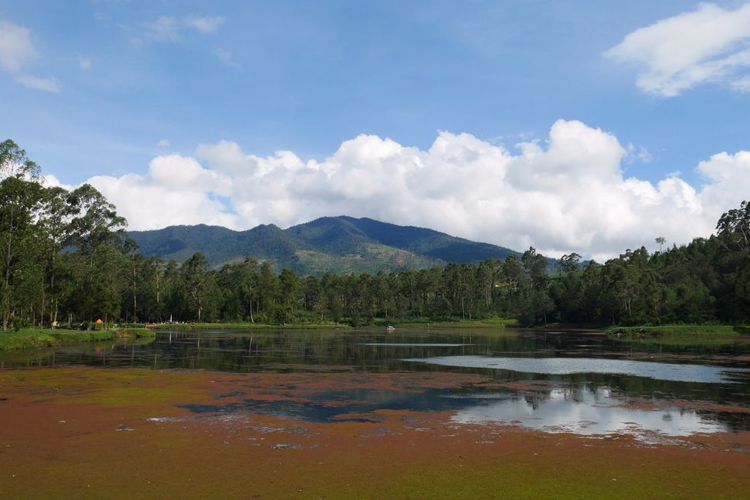 Berita terbaru Podomoro Bandung