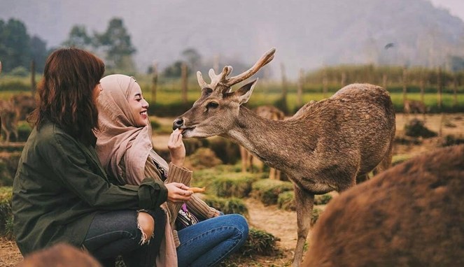 Berita terbaru Podomoro Bandung